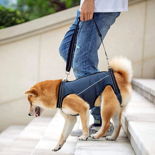 Dog Lift Harness Pet Support Rehabilitation Sling Padded Breathable Straps for Old Disabled Joint Injuries Arthritis Dog Walk