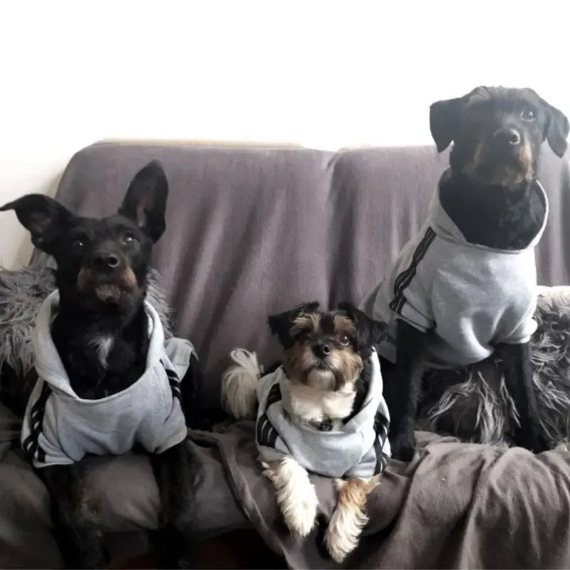 Adidog sudaderas Otoño Invierno ropa cálida para perros con capucha para perros abrigo cálido para mascotas chaqueta para cachorros de perro mediano grande suéter ropa para Chihuahua disfraz