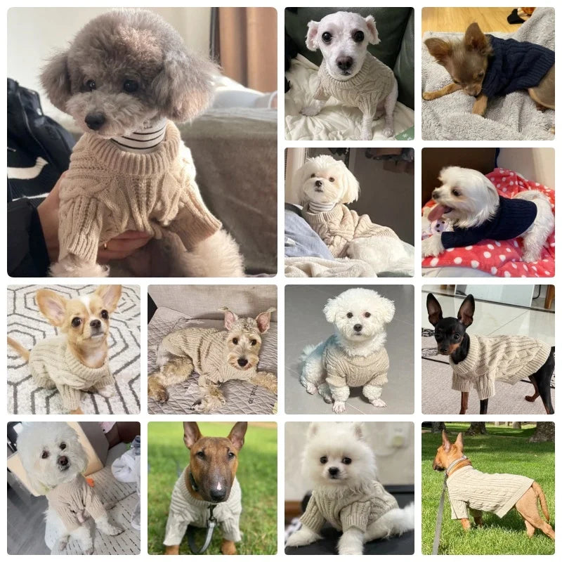 Winter Dog Clothes Warm Pet Dog Sweaters Luxury Puppy Knit Pullovers Cute Cat Turtleneck French Bulldogs Dog Clothes Pet Outfits