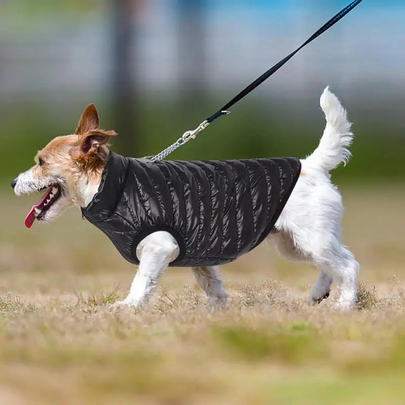 Dog Winter Jacket Fabric Dog Sweater Winter Fleece Vest Dog Pullover Jacket Pet Fall Vest Comfortable Windproof Doggy Vest Big