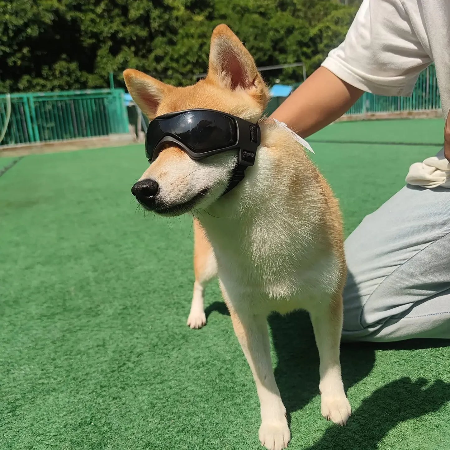 Gafas para Perros de Razas pequeñas, Gafas de Sol para Perros de Razas pequeñas, Gafas con protección UV para Cachorros de Perros pequeños, Conducción al Aire Libre