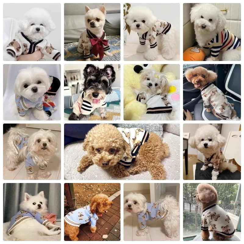 Luxury Dog Clothes for Small Dogs Pet Striped Dog Cardigan Warm Puppy Coat Winter Cat Knitted Sweater Chihuahua Pet Dog Clothes