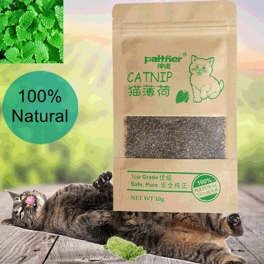 CATNIP juguetes para gatos 10g de sabor 100% aperitivos de hierba gatera suministros para mascotas gatito gato