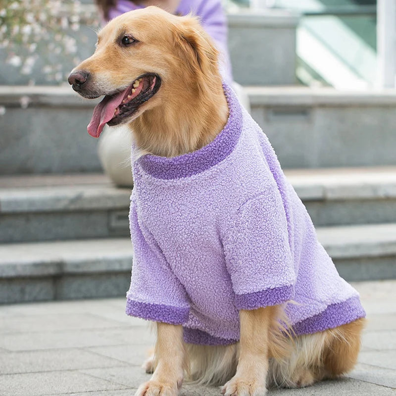 Disfraz de otoño e invierno para mascotas, suéter encantador de otoño para perros grandes, Labrador dorado, perro mediano y grande Samoye